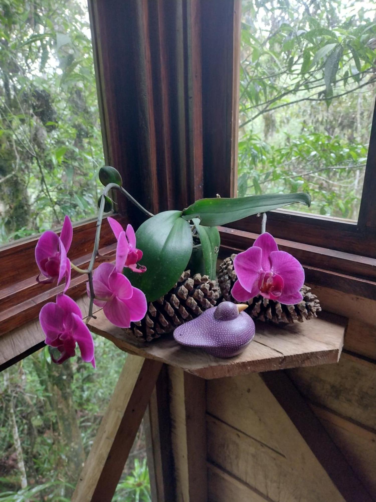 Paraiso Verde Chijou 외부 사진