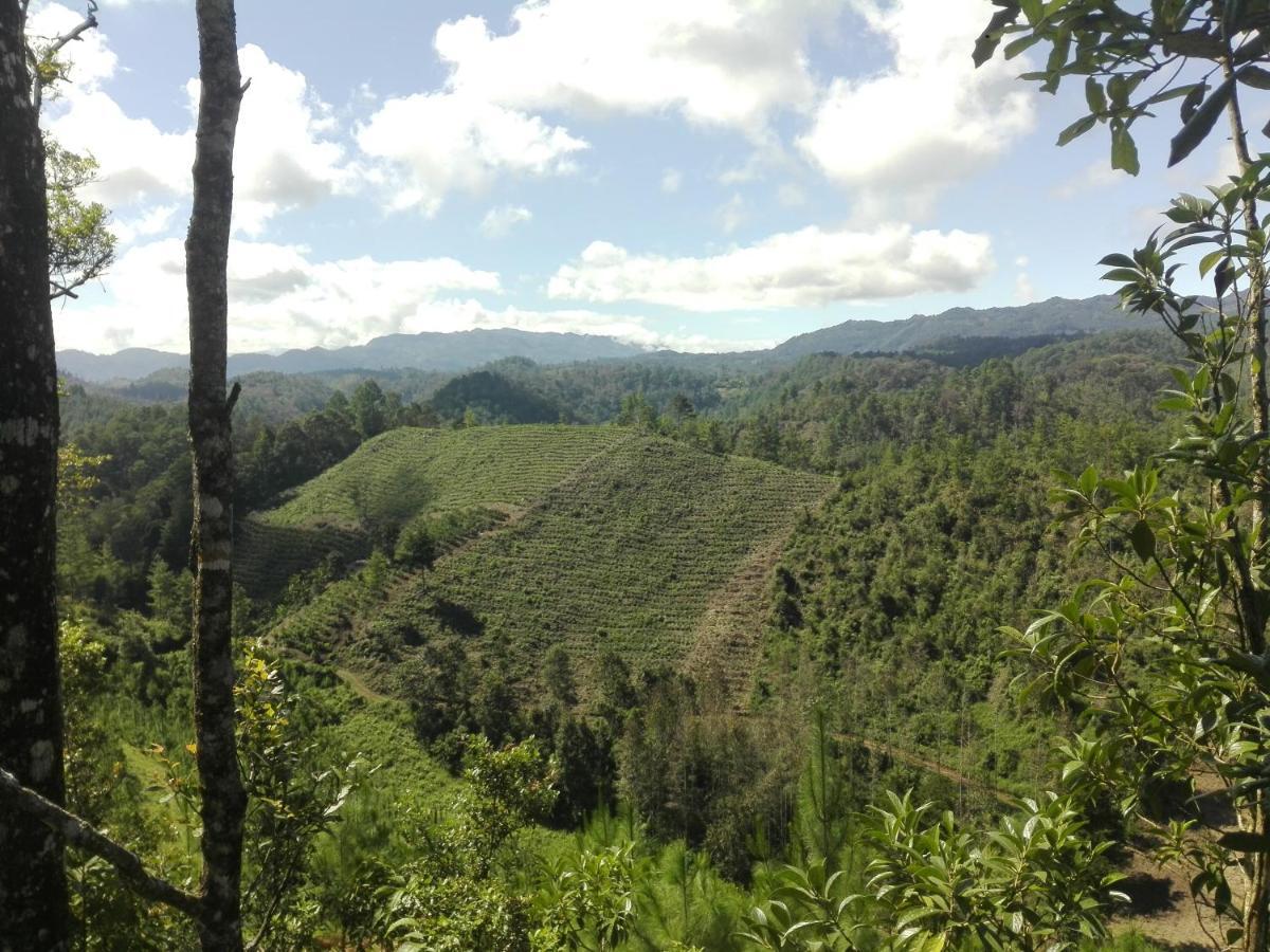 Paraiso Verde Chijou 외부 사진